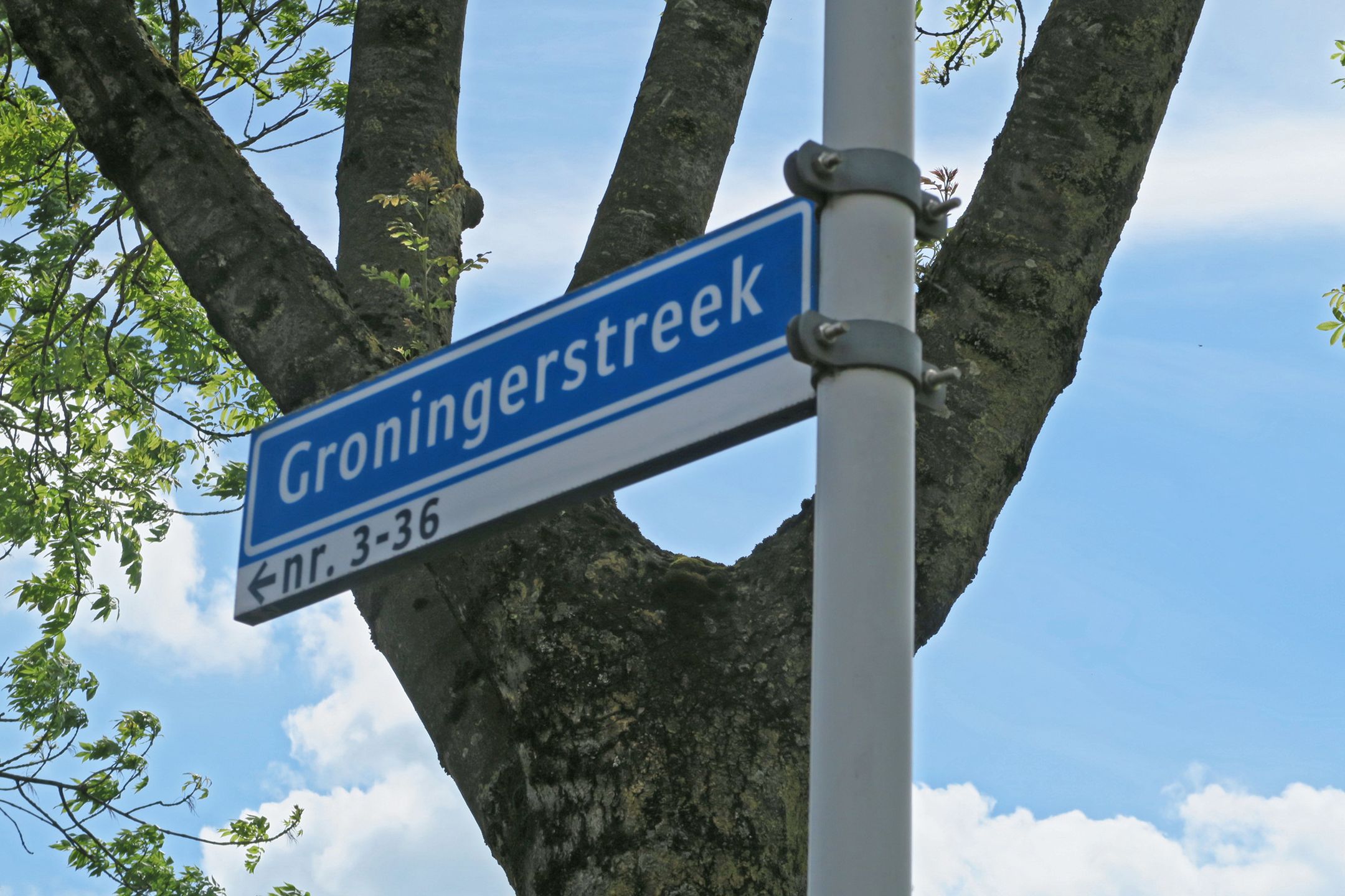 Foto 6 van Groningerstreek 9