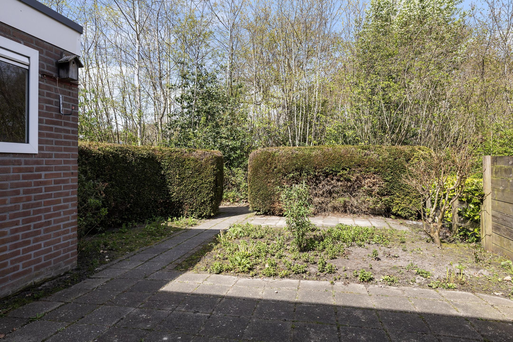 Corner Home with Deep Garden in Green Wilhelminaoord — 15