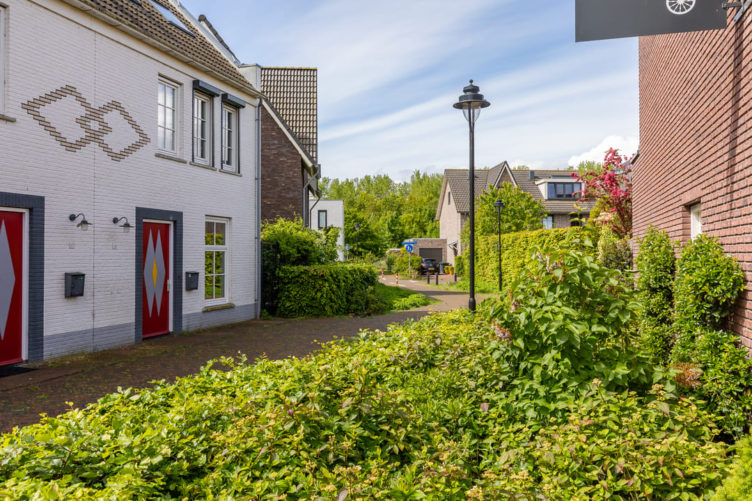 Photo 13 of William Bragghof 8
