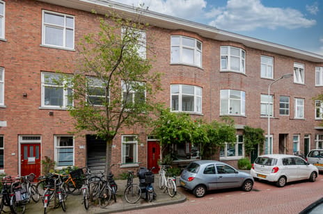 Lavendelstraat thumbnail