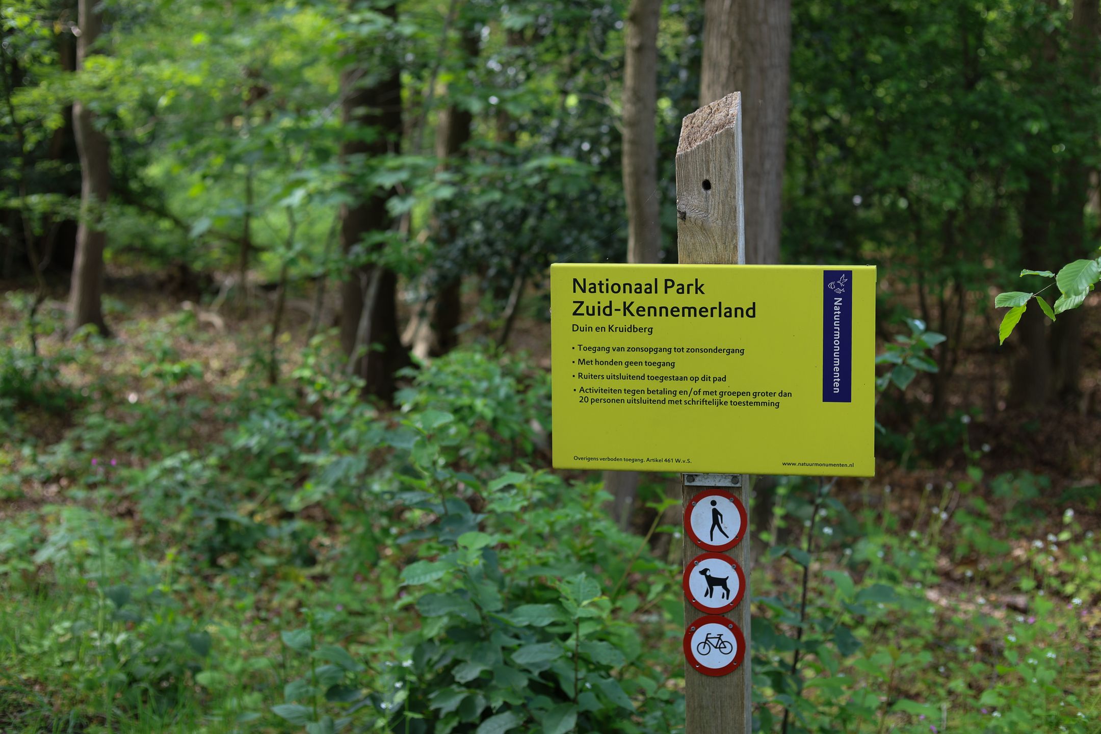 Photo 42 of Brederoodseweg 79