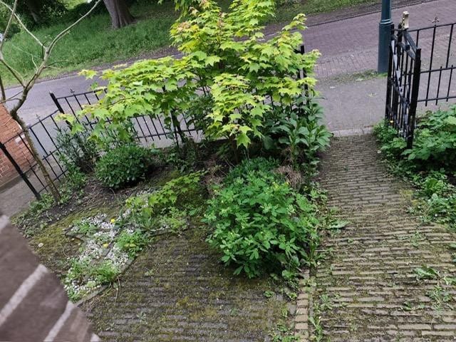 Photo 9 of 1e Ebbingestraat 37