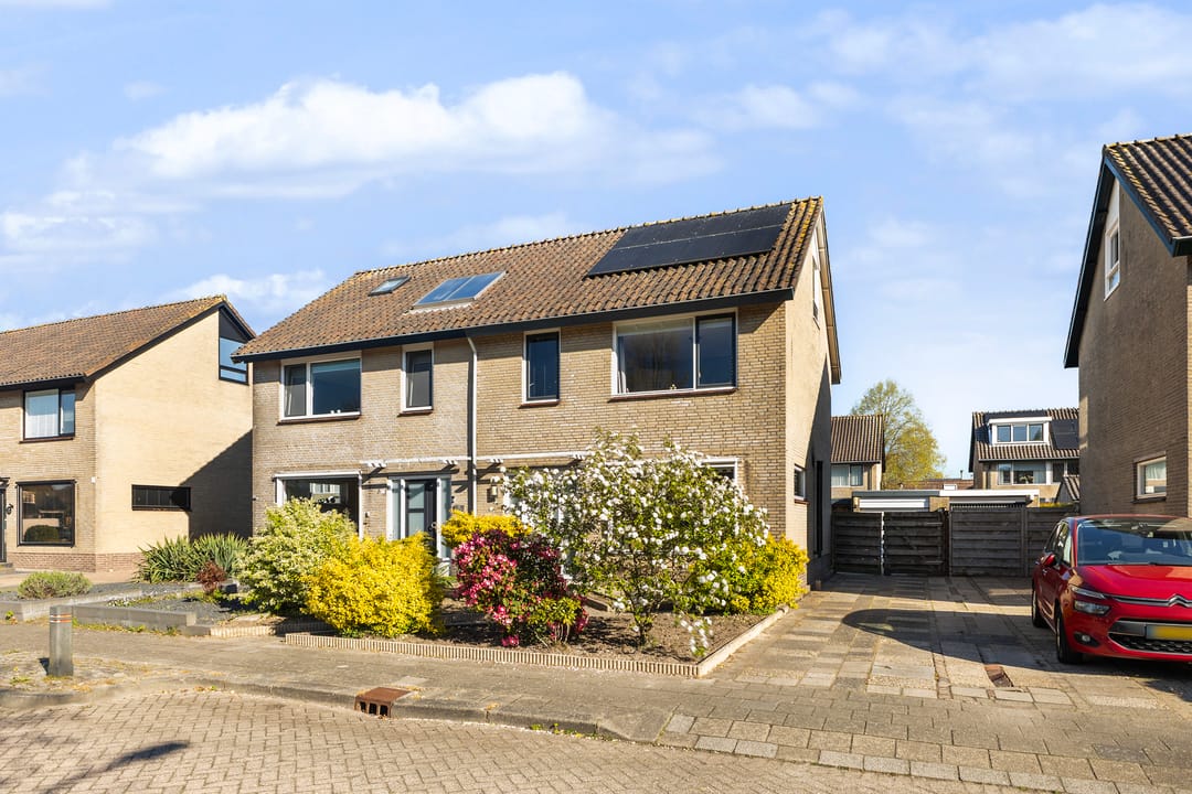 Photo 1 of Roggeblom 10