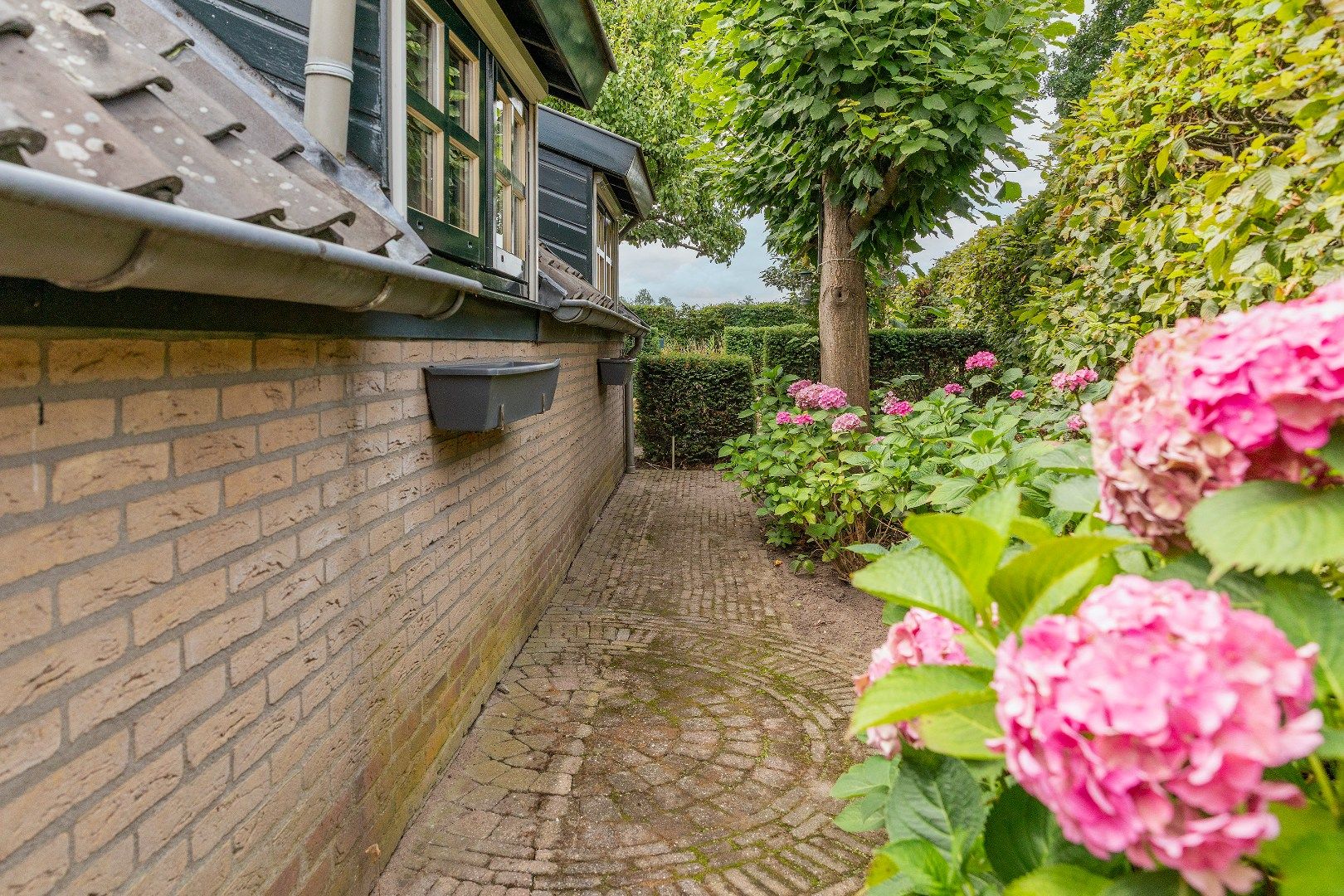Photo 6 of Groenestraat 5