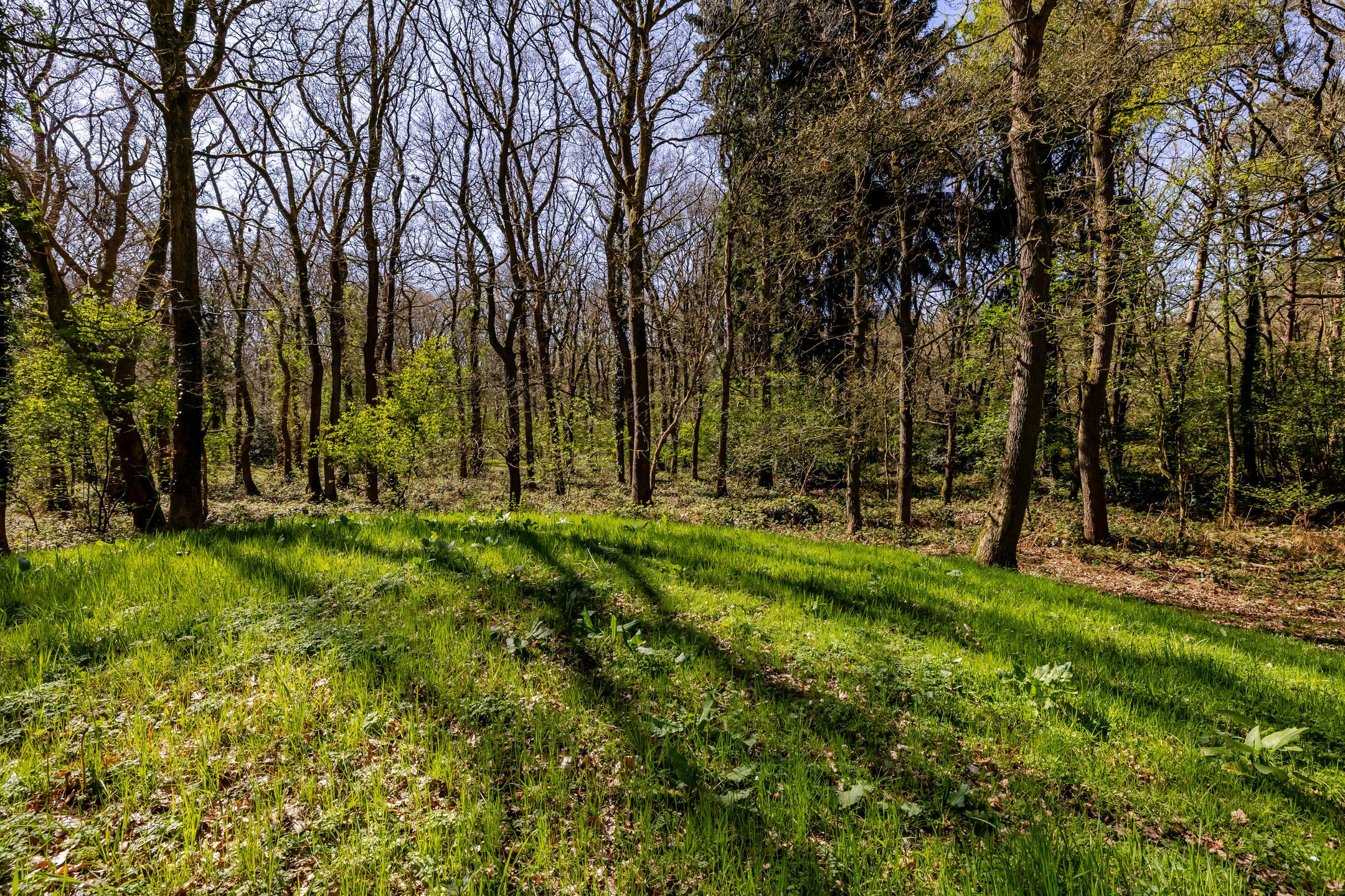 Photo 54 of Naweg 11