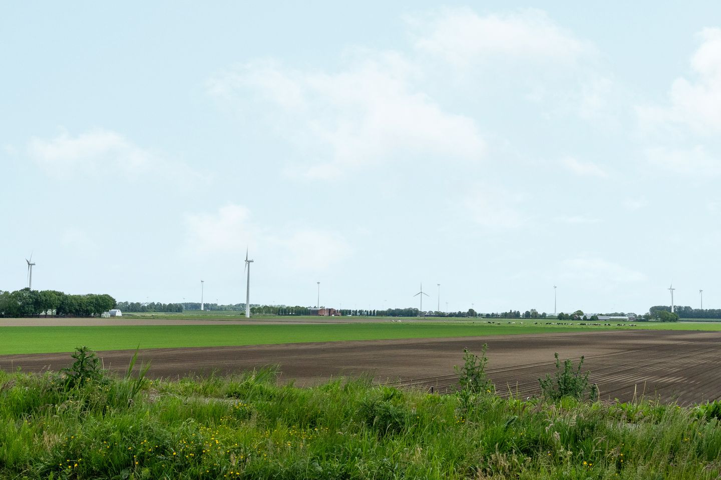 Photo 55 of Vuurtoren 10
