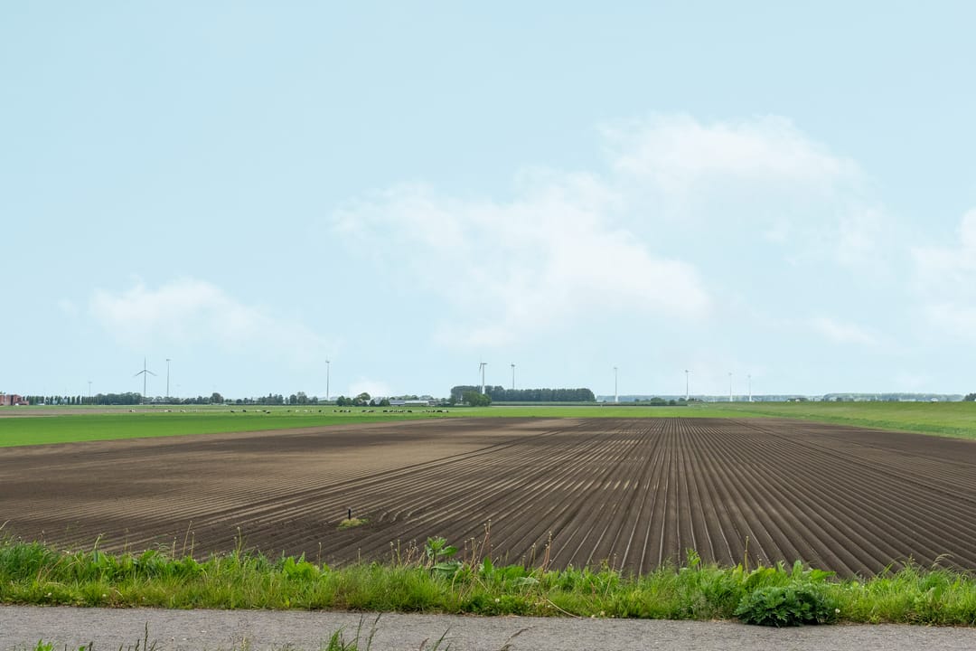 Photo 56 of Vuurtoren 10