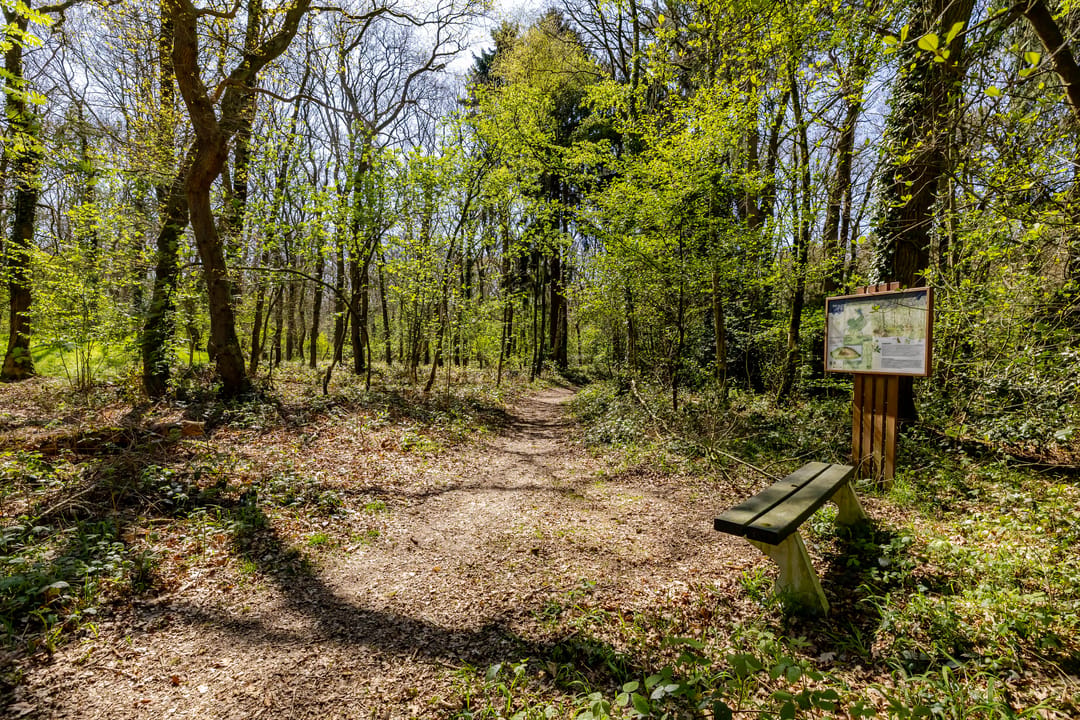 Photo 53 of Naweg 11