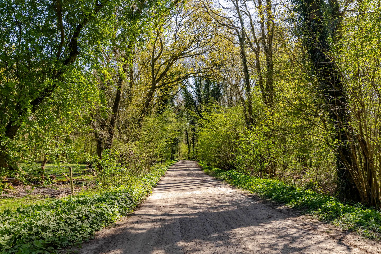 Photo 55 of Naweg 11