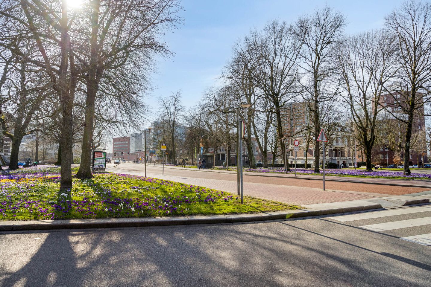 Foto 44 van Gedempte Zuiderdiep 110-A