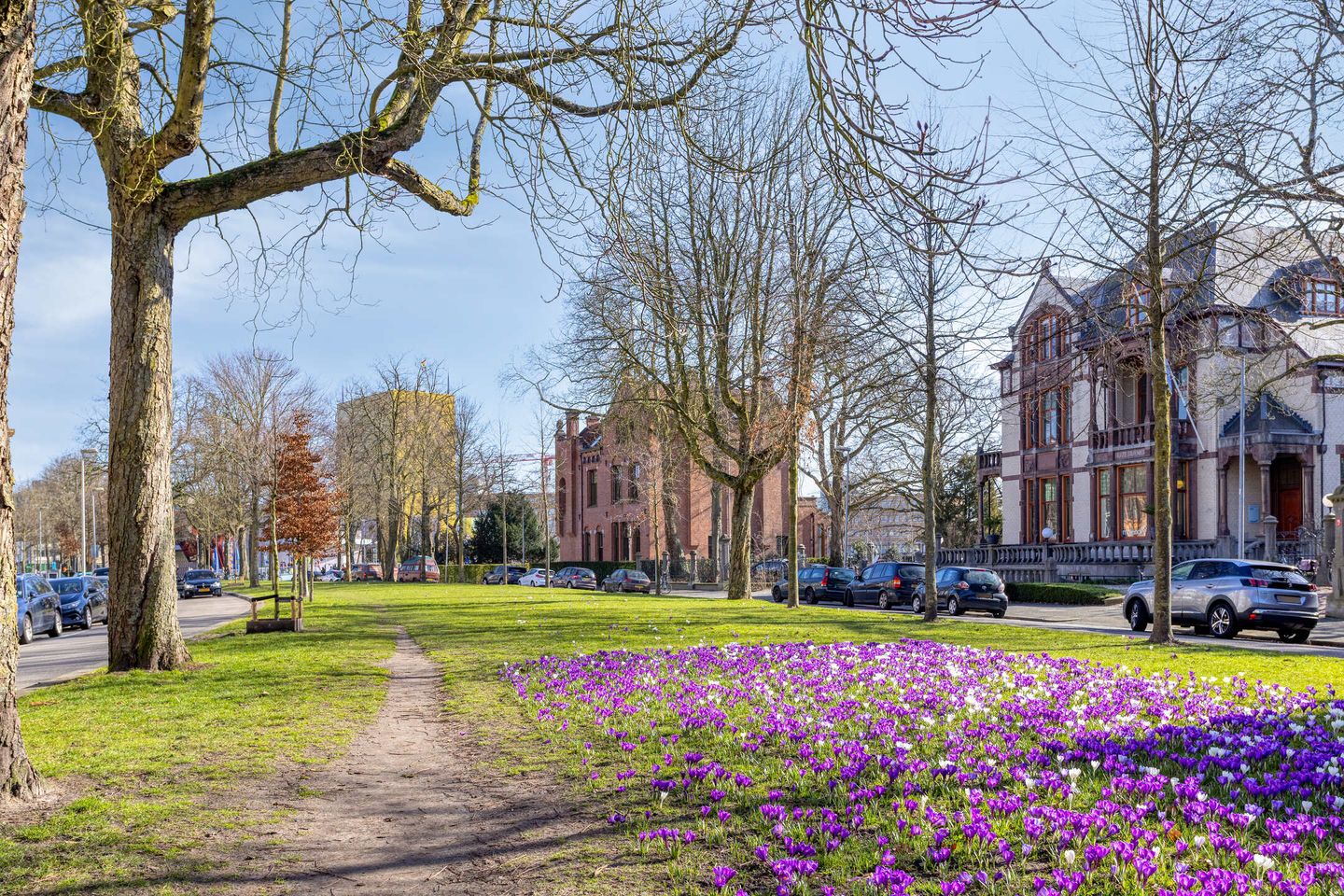 Foto 4 van Gedempte Zuiderdiep 110-A