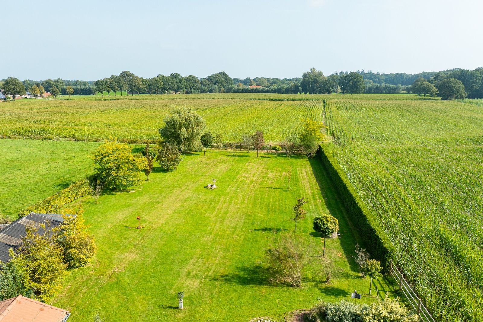 Photo 3 of Halseweg 16