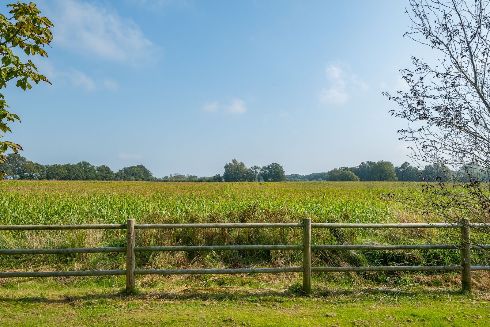 Photo 51 of Halseweg 16
