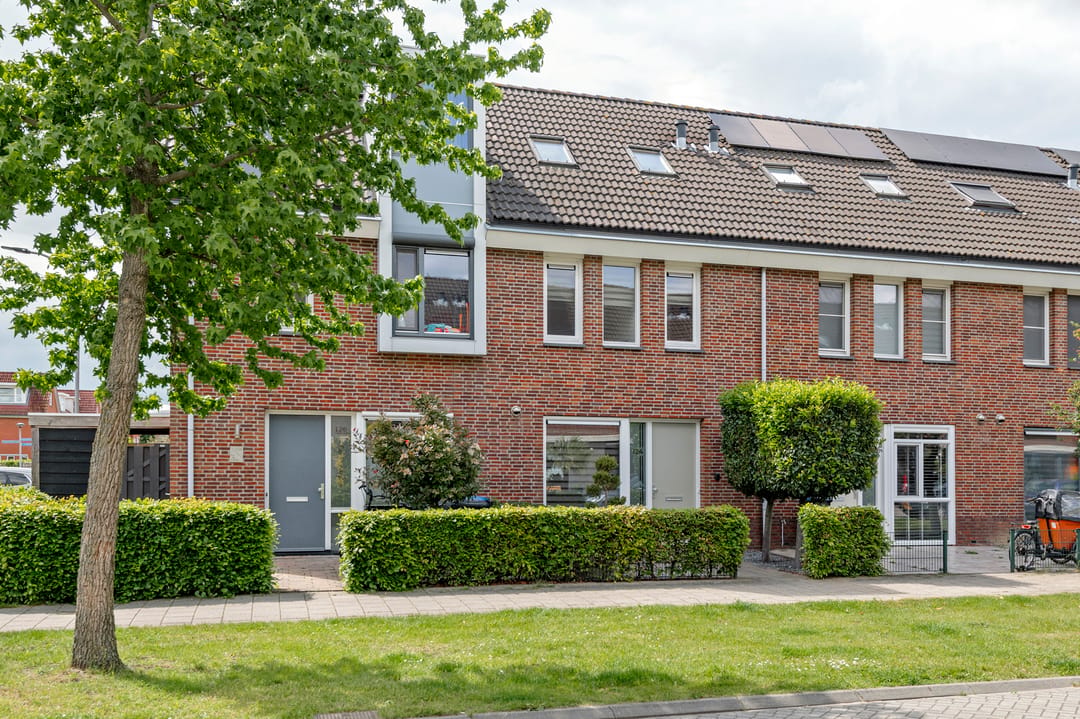 Foto 1 van Aardbeivlinder 124