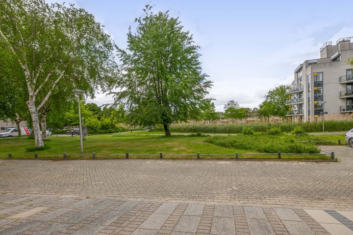 Foto 5 van Reeuwijkpolderplantsoen 3