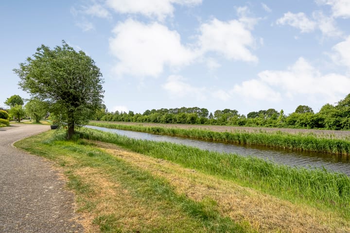 Photo 4 of De Roerdomp 34