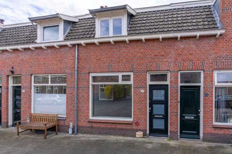 Ferdinand Bolstraat thumbnail