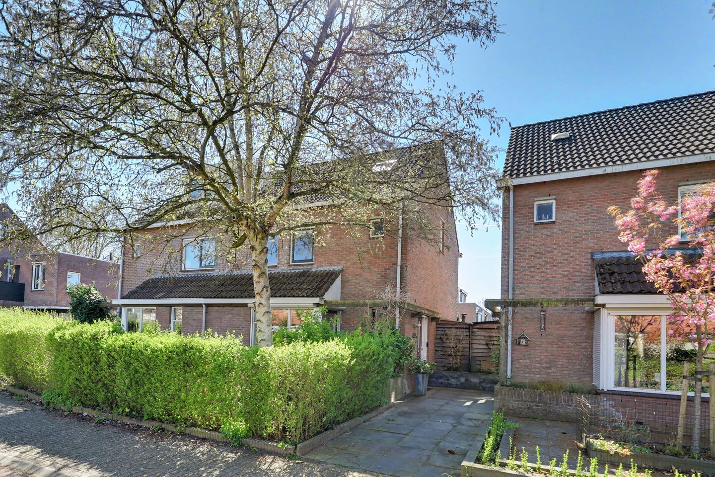 Foto 1 van Schijndelstraat 47