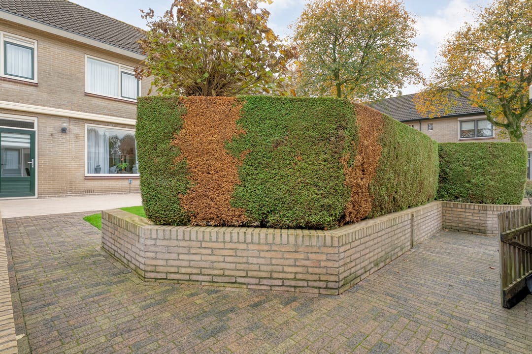 Foto 41 van het Wever 1