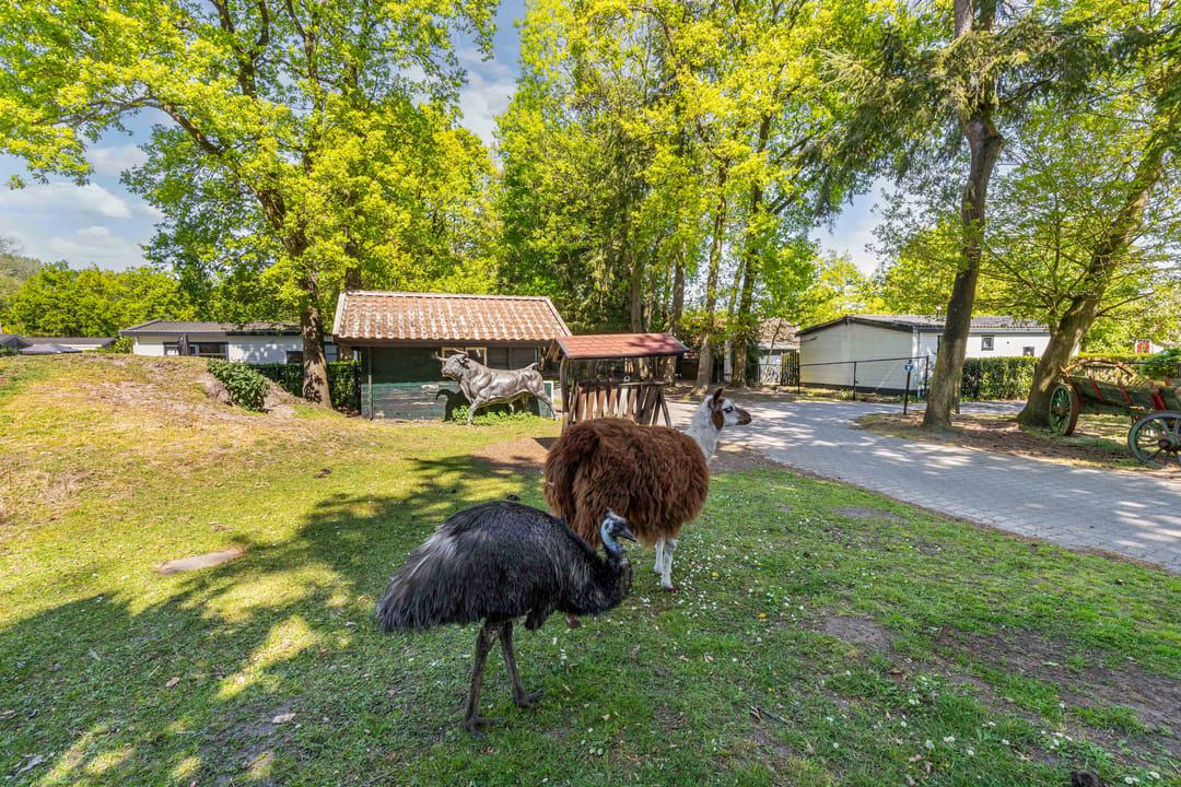 Photo 26 of Bultweg 25-R71