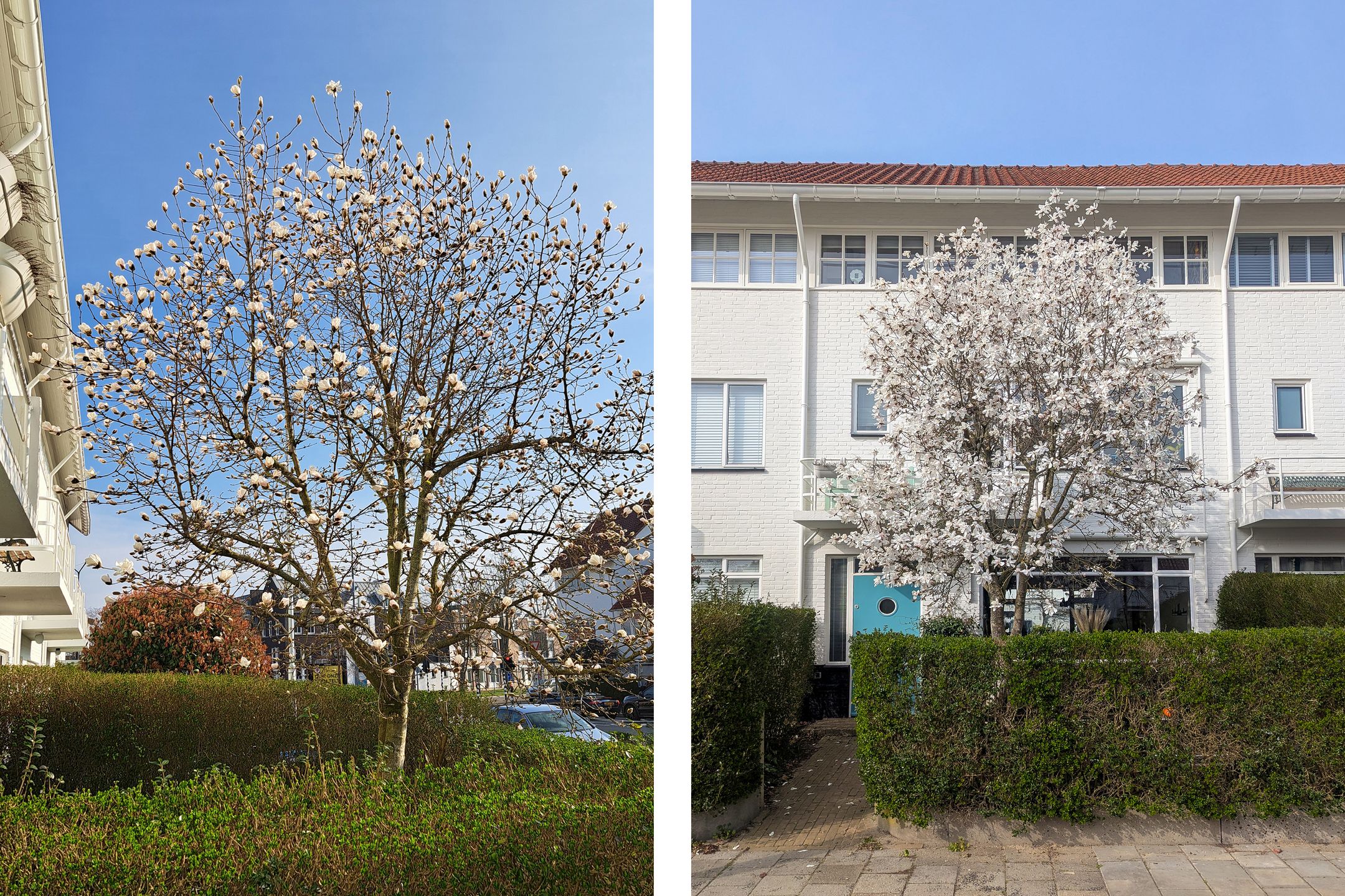 Foto 45 van St Jorislaan 10