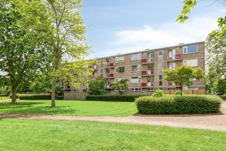 Burgemeester de Zeeuwstraat thumbnail