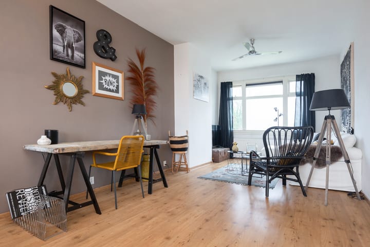 Foto 4 van van Alphenstraat 82