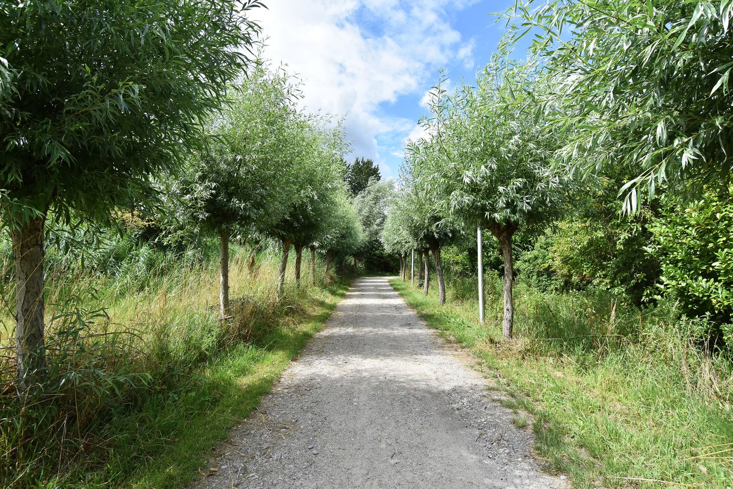 Foto 4 van Zuideindseweg 62