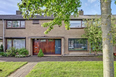 Tulpstraat thumbnail