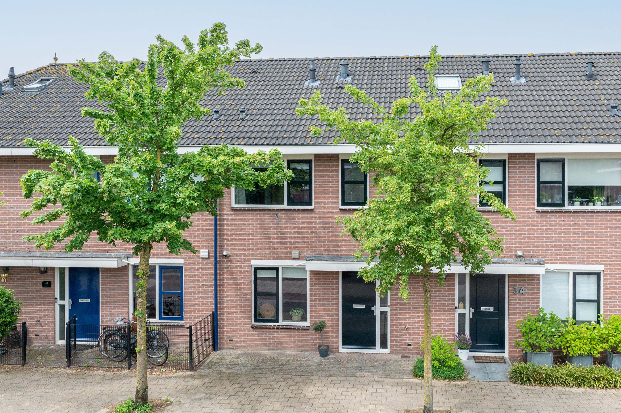 Buizerdstraat 36 