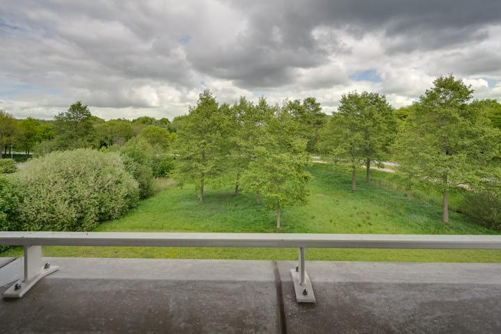 Photo 4 of Zwaan 14
