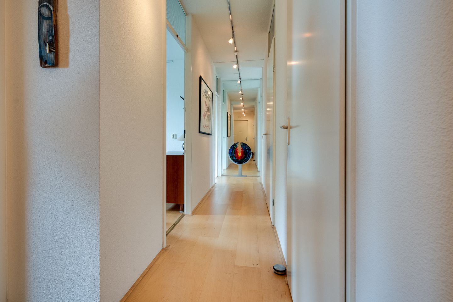 Photo 10 of Zwaan 14
