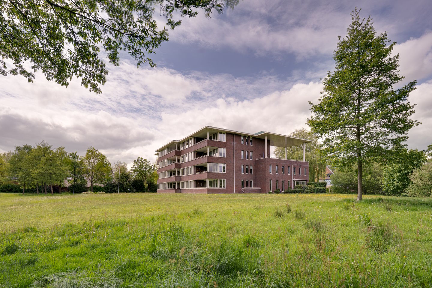 Photo 1 of Zwaan 14