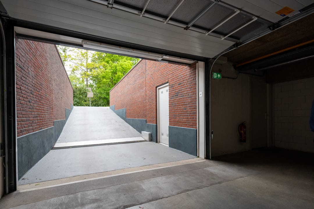 Photo 41 of Zwaan 14
