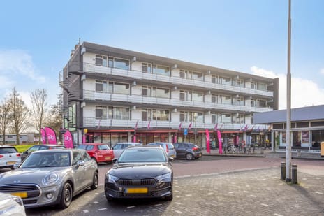 Wittesteijn thumbnail