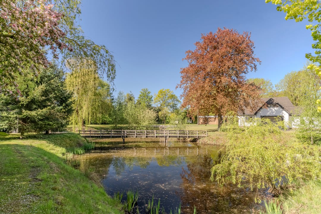 Photo 68 of Mezenlaan 10