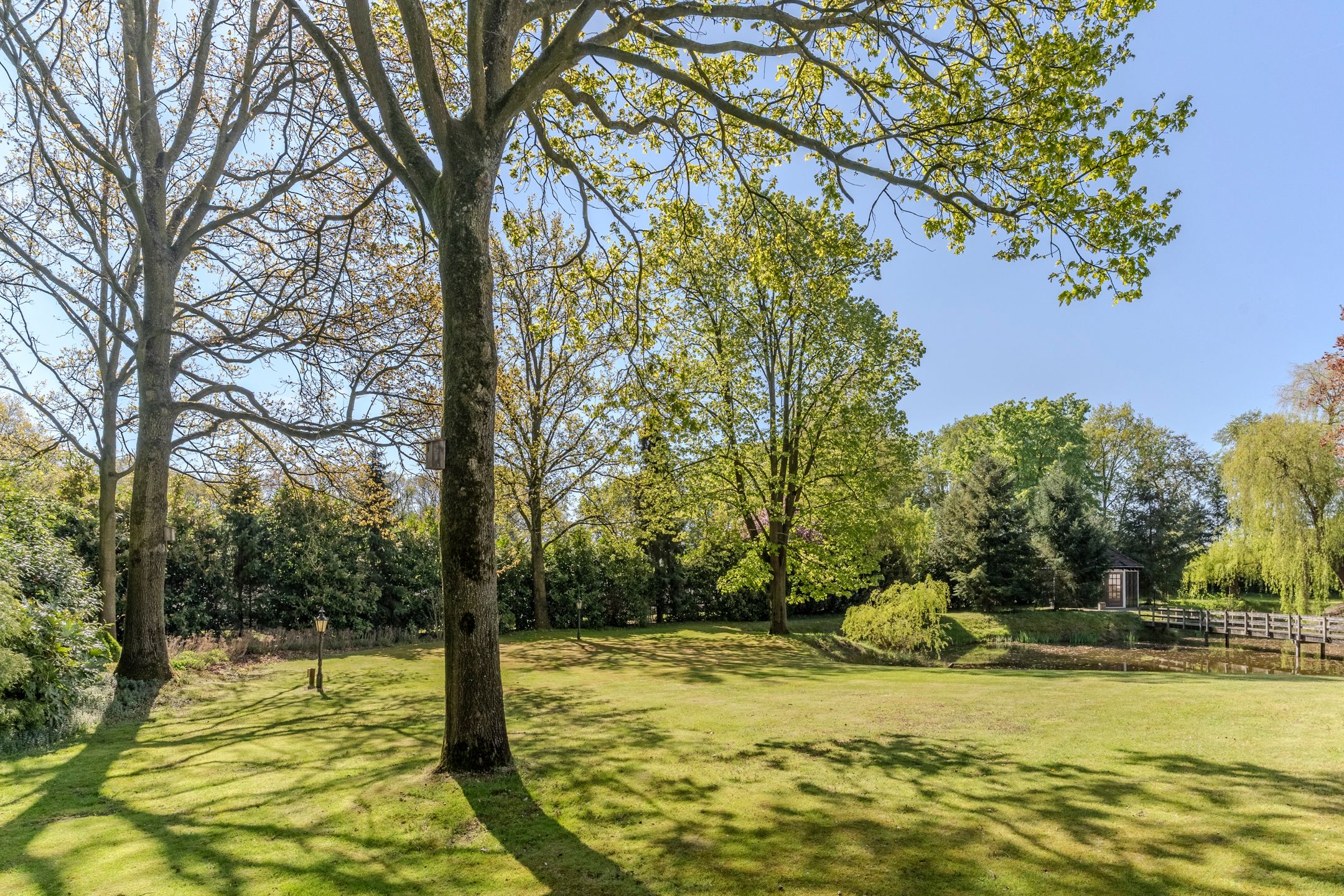 Photo 78 of Mezenlaan 10
