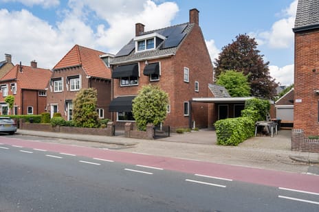 Varviksingel thumbnail