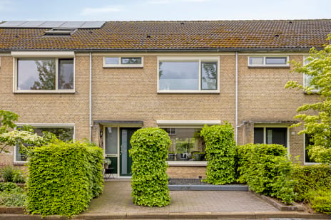 Hoge Veld thumbnail