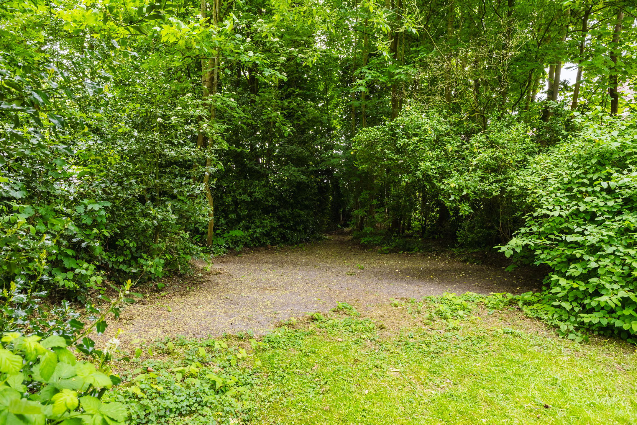 Photo 21 of De Streek 48