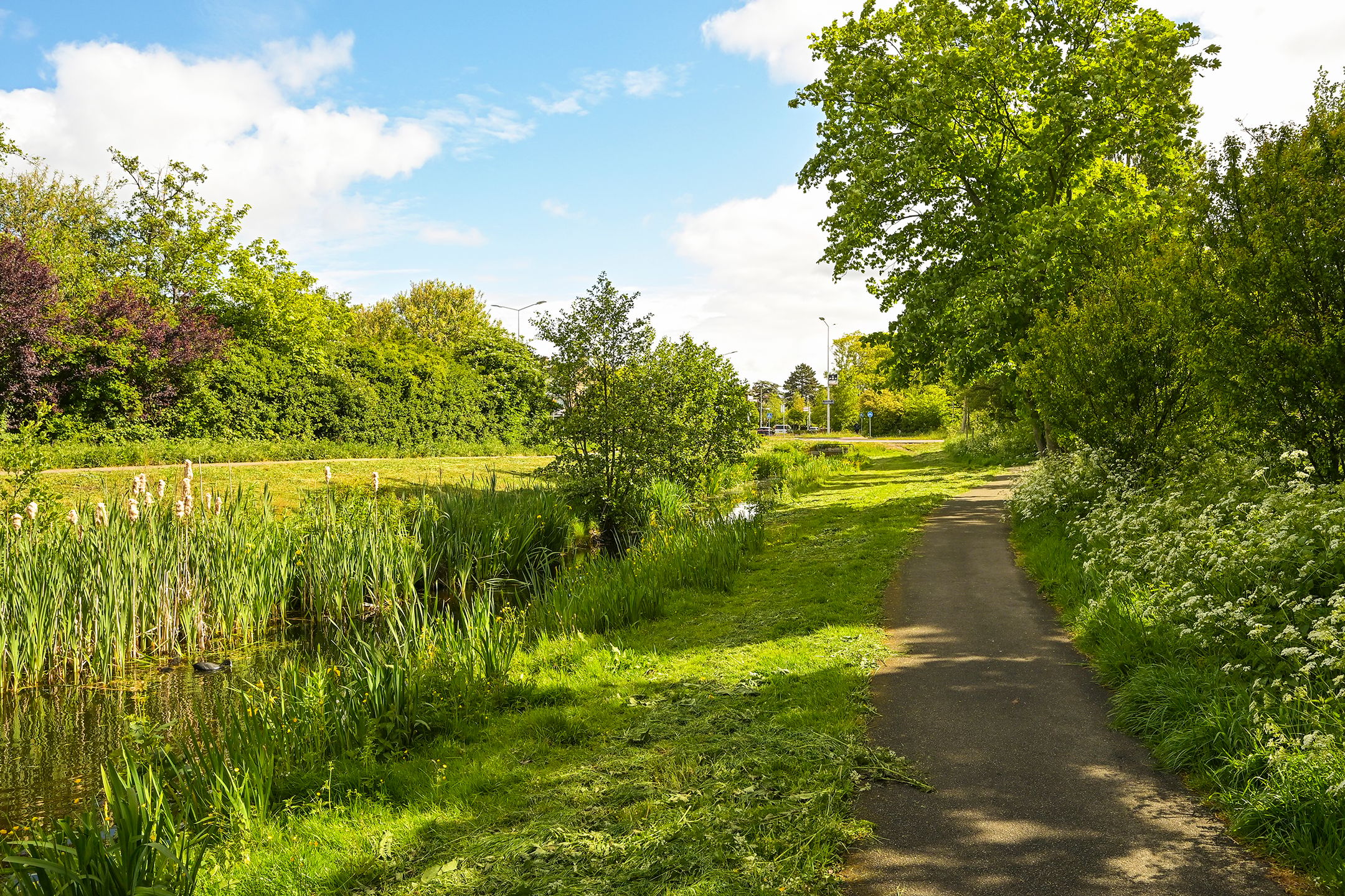 Photo 36 of Lupineweg 39
