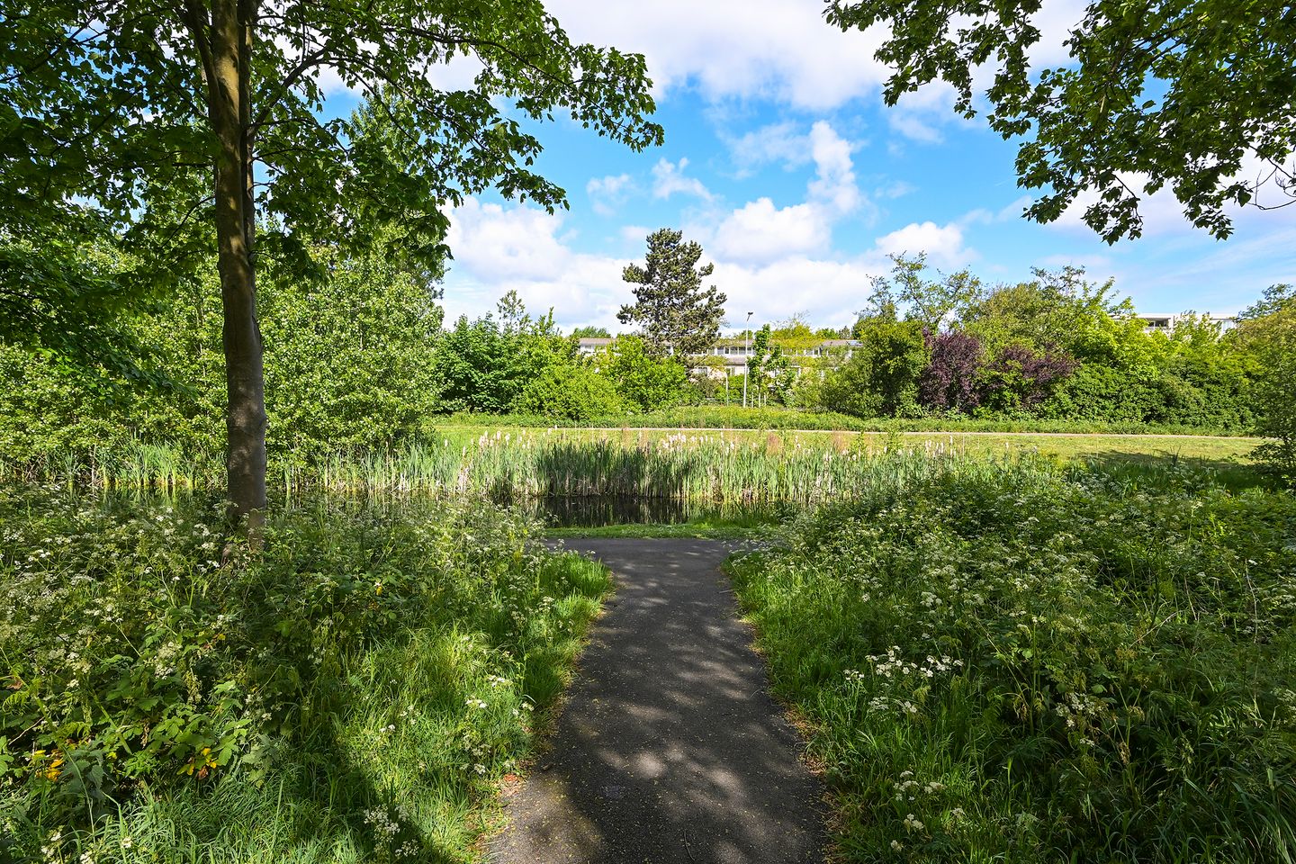 Photo 34 of Lupineweg 39