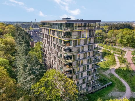 Bosbeshof thumbnail