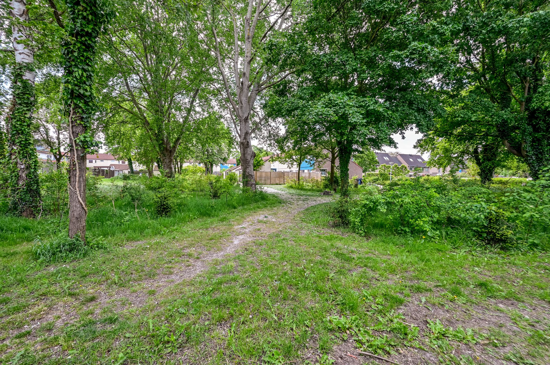 Photo 42 of Wijtingstraat 8