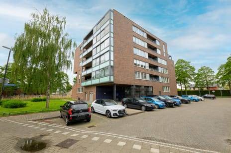Merbauhout thumbnail
