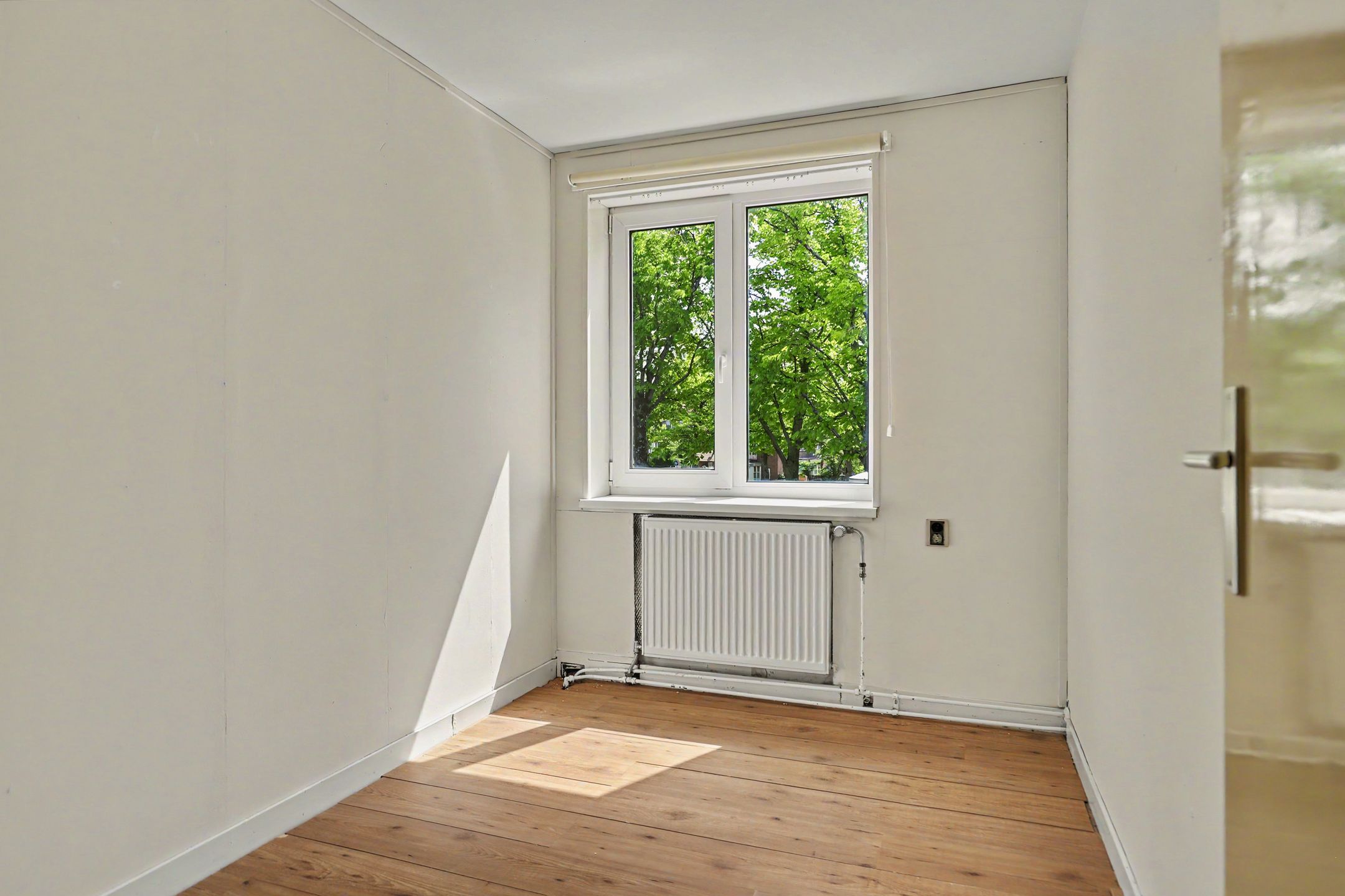Photo 18 of Cornelis de Grootpad 1