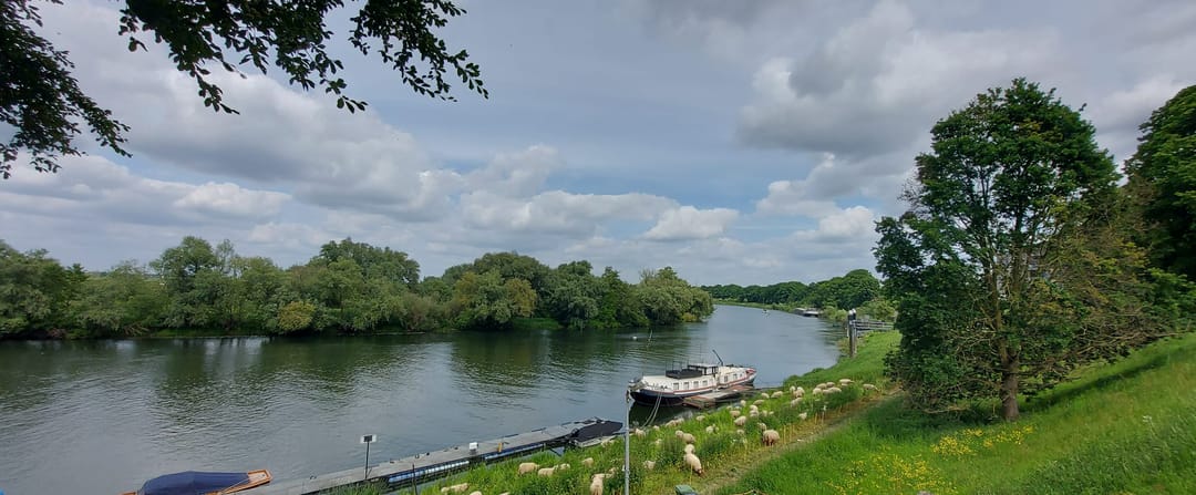 Foto 43 van Oeverzicht 20