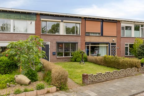 van Homoetstraat thumbnail
