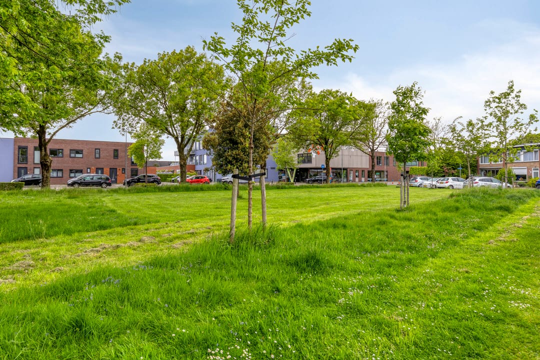 Photo 32 of van Homoetstraat 15