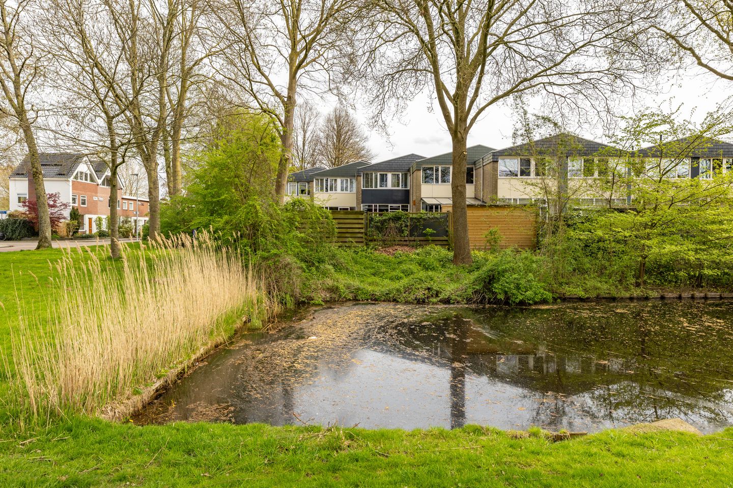 Photo 34 of Van Drielstlaan 75